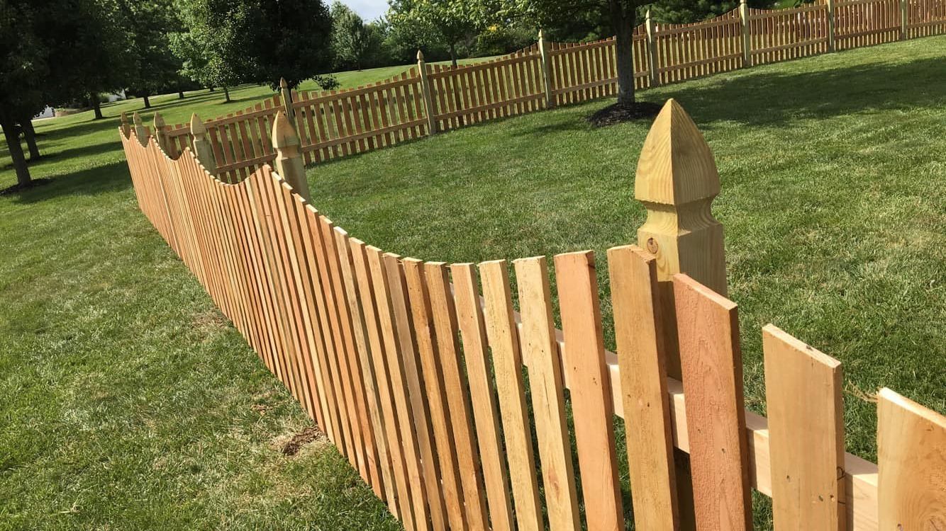 Treated wood fencing