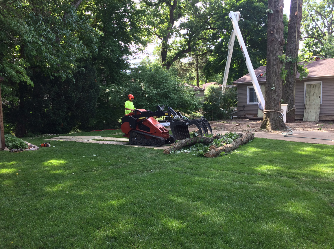 Shearer Tree Service LLC Photo Gallery La Salle, IL