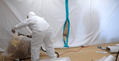Mold remediation