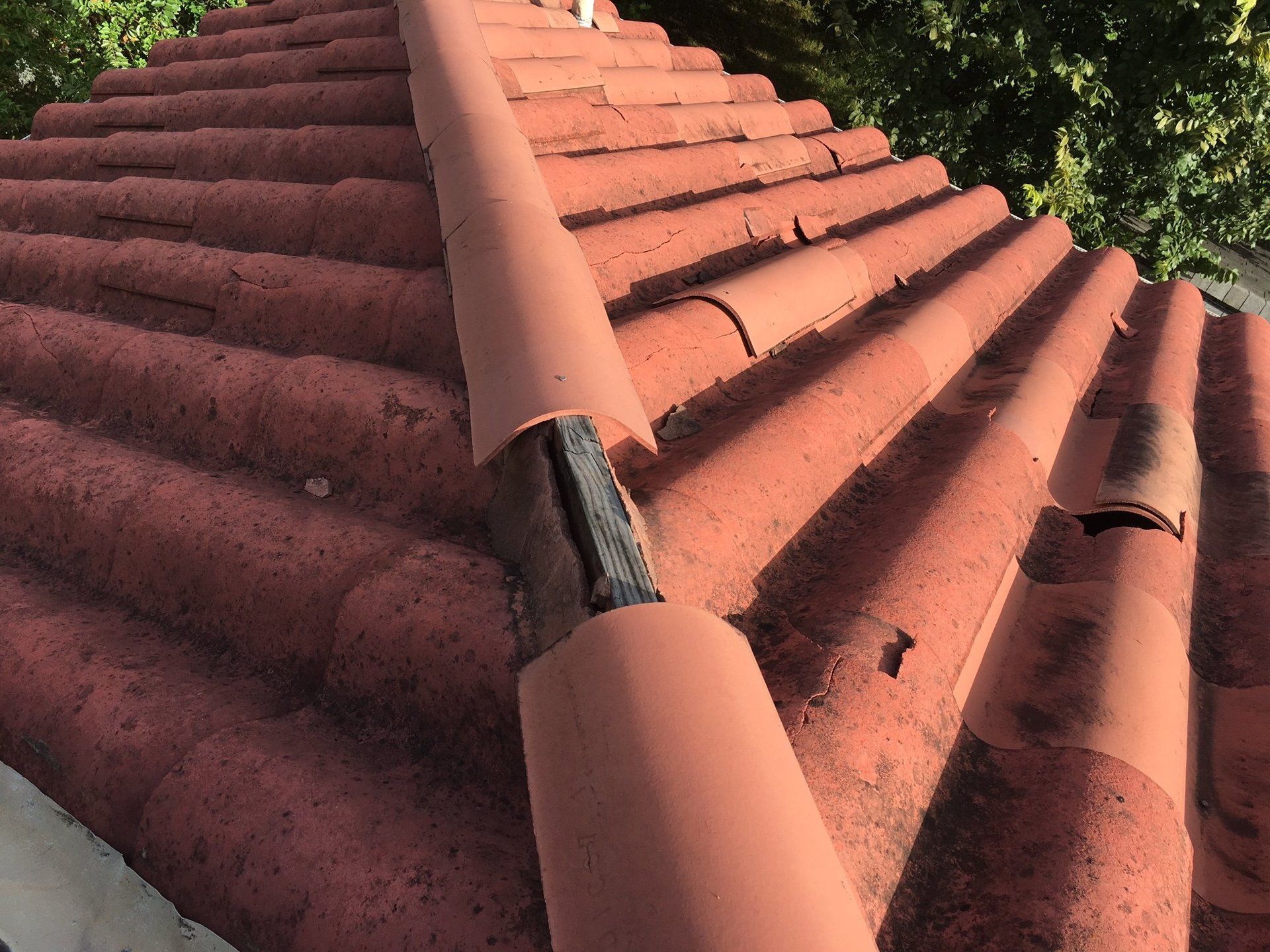 A close up of a red tiled roof with trees in the background