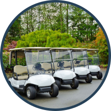 Golf Cart Fleet