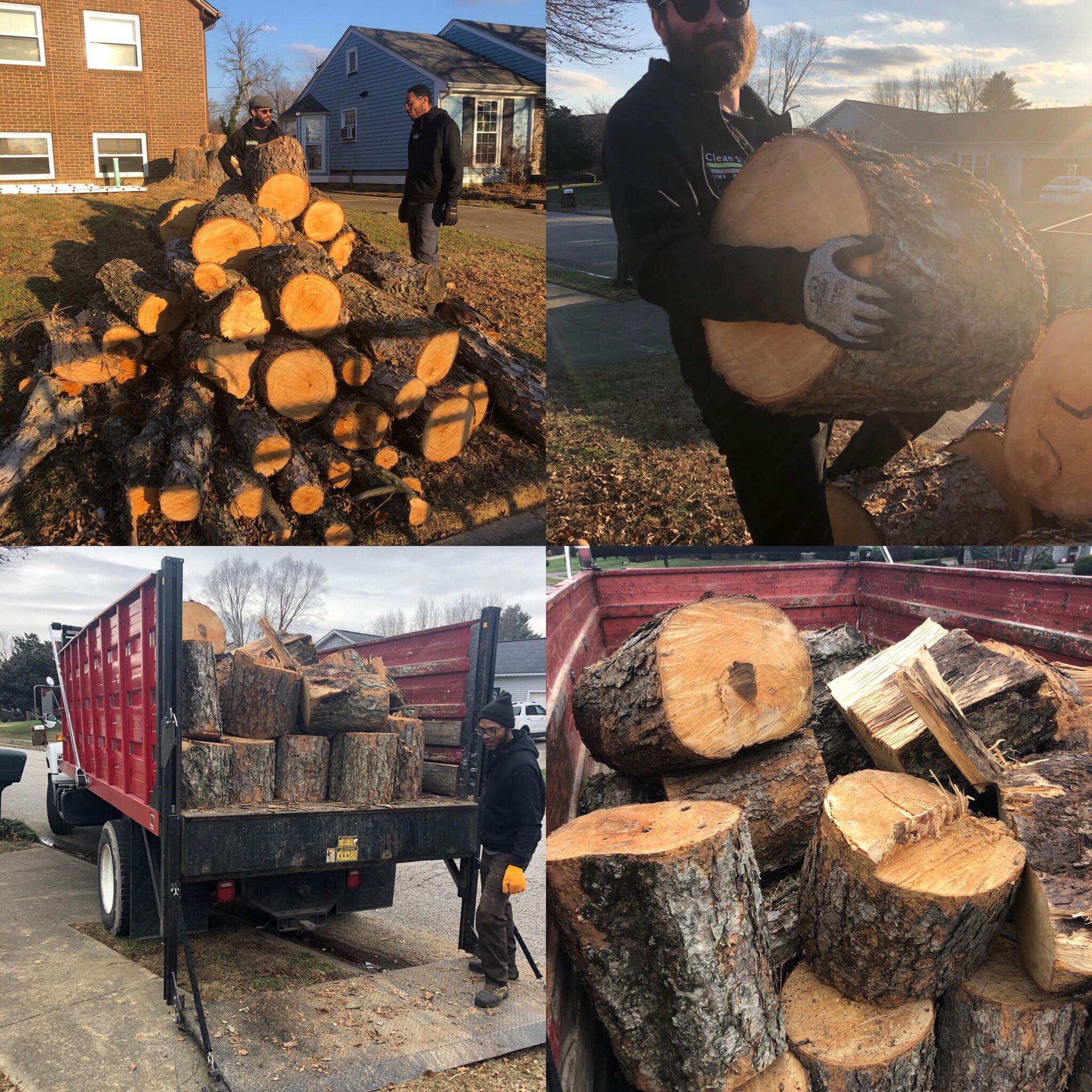 Four photos show people with firewood: piled on the ground, carried, in a truck bed, and close-up.