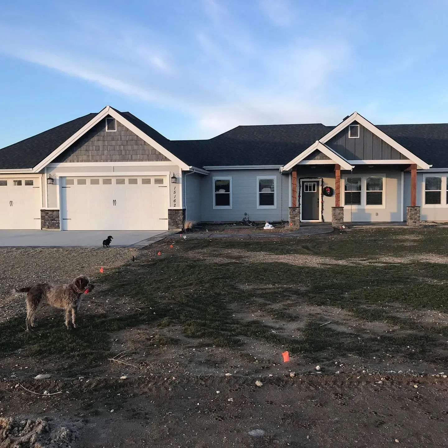 Dog stands in front yard of a new house; gray siding, white garage doors.