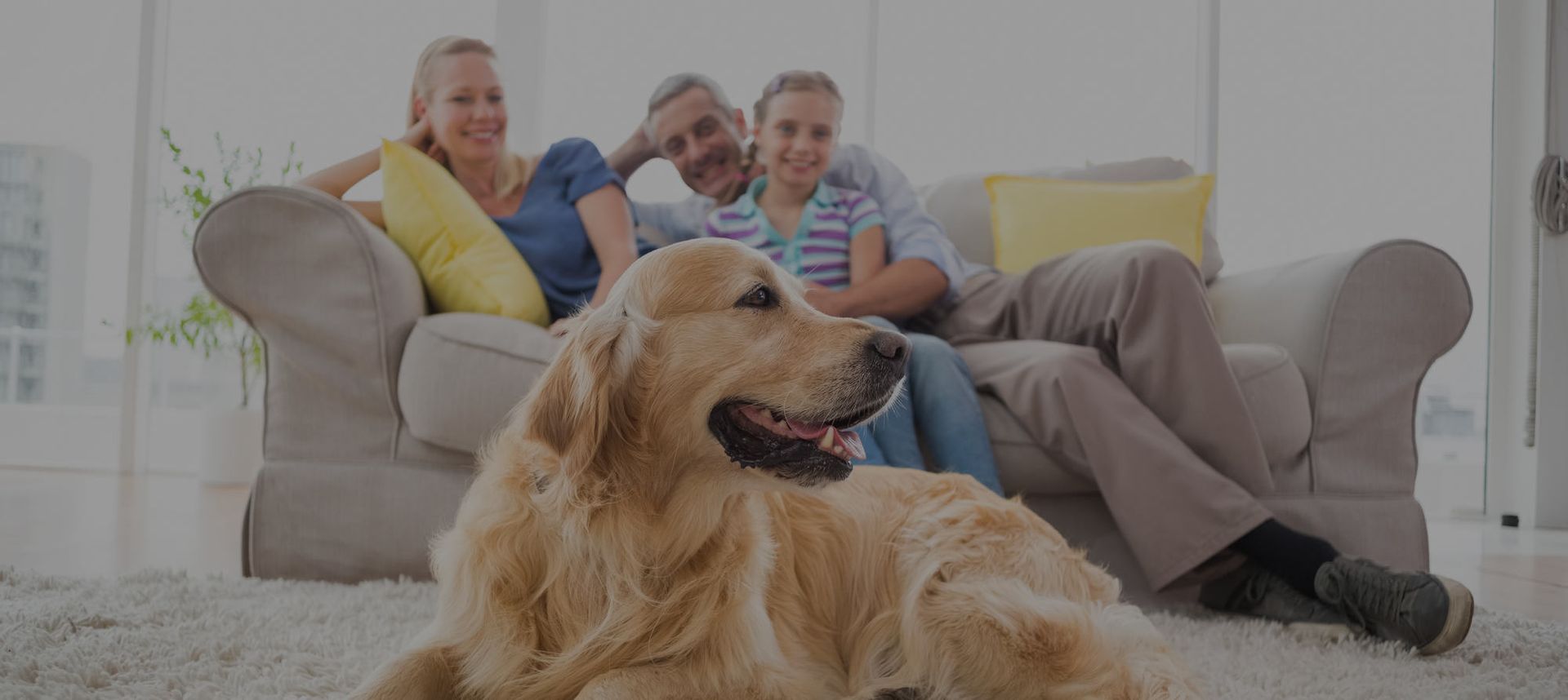 Family relaxing on a couch with a golden retriever in the foreground