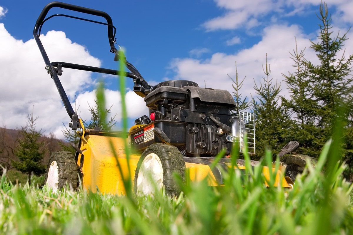 lawn treatment