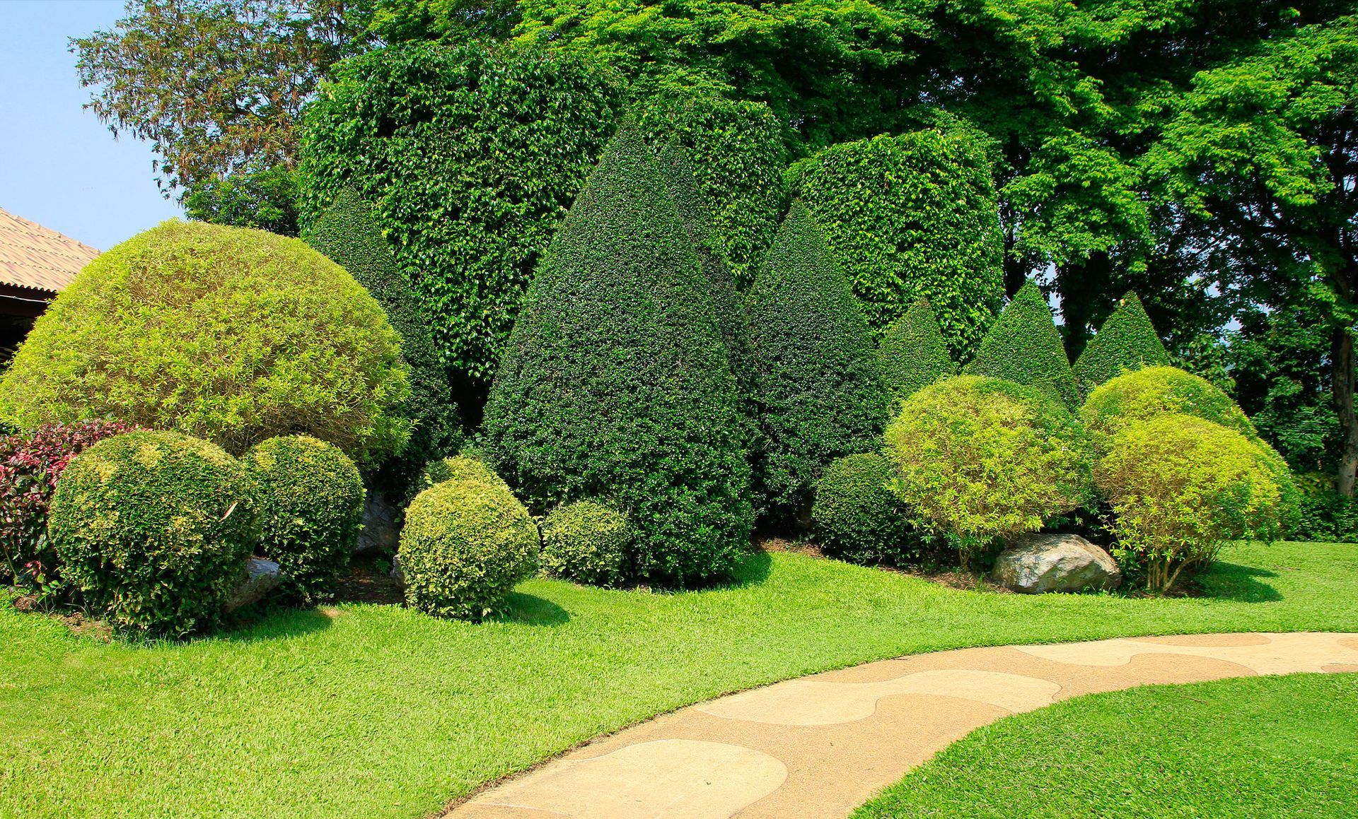 a path going through a lush green garden surrounded by trees and bushes .