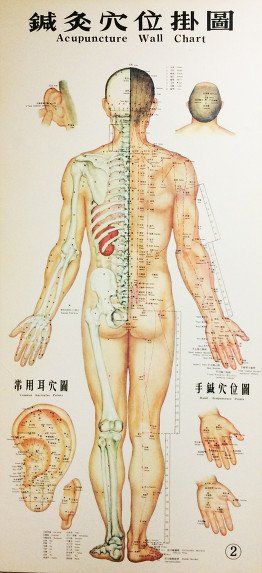 Acupuncture diagram