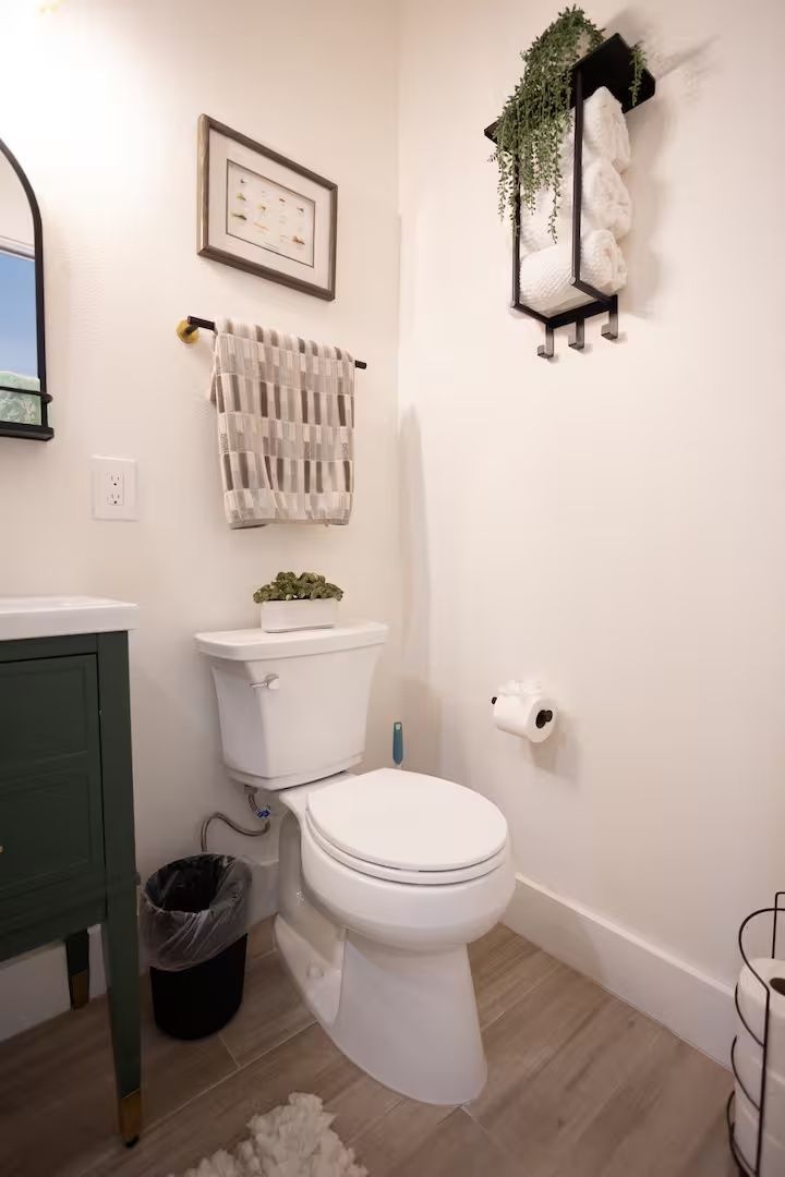 Small bathroom with toilet, green vanity, wall decor, and hanging plant