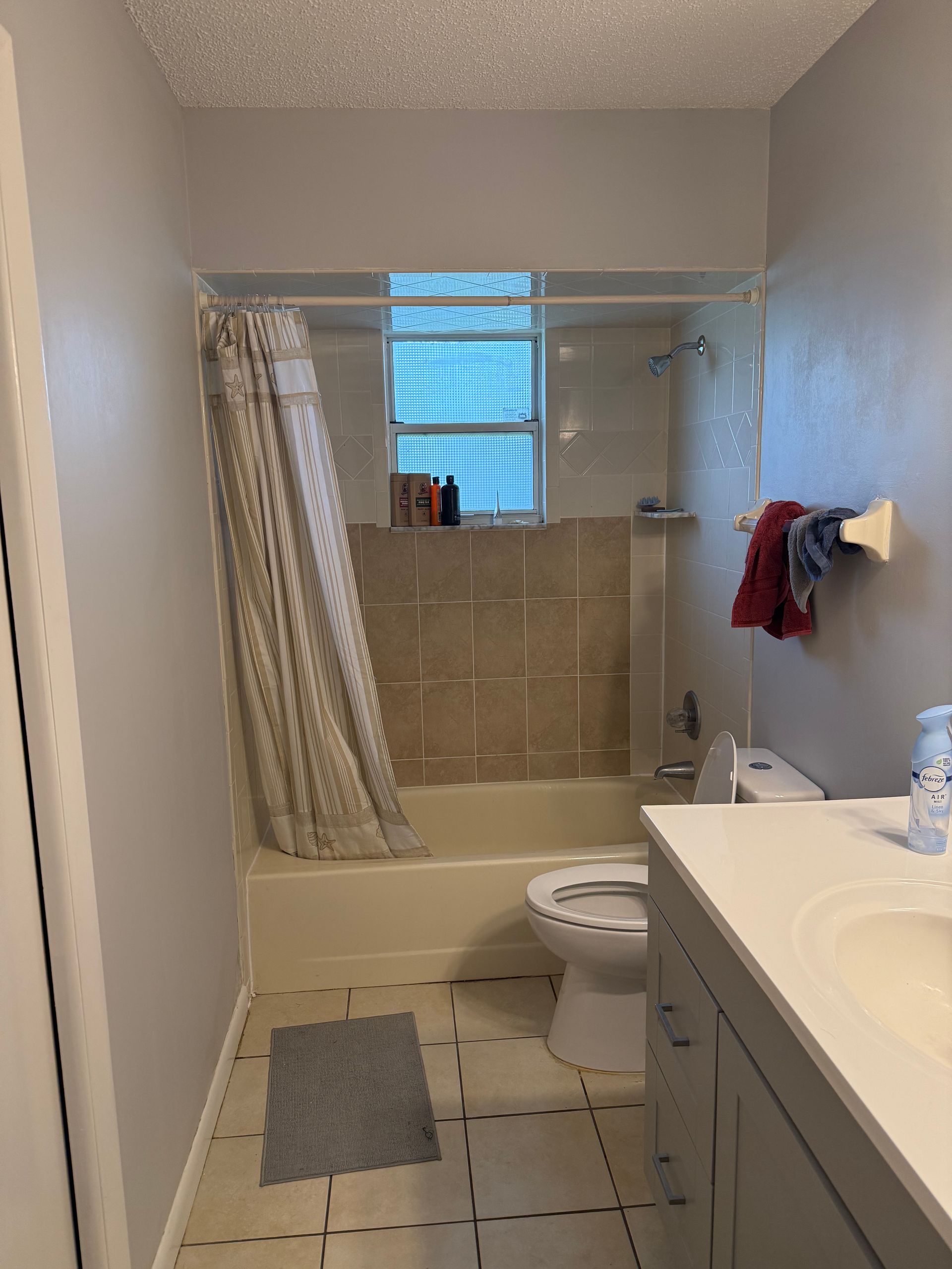 Small bathroom with a bathtub, toilet, sink vanity, gray rug, and shower curtain.
