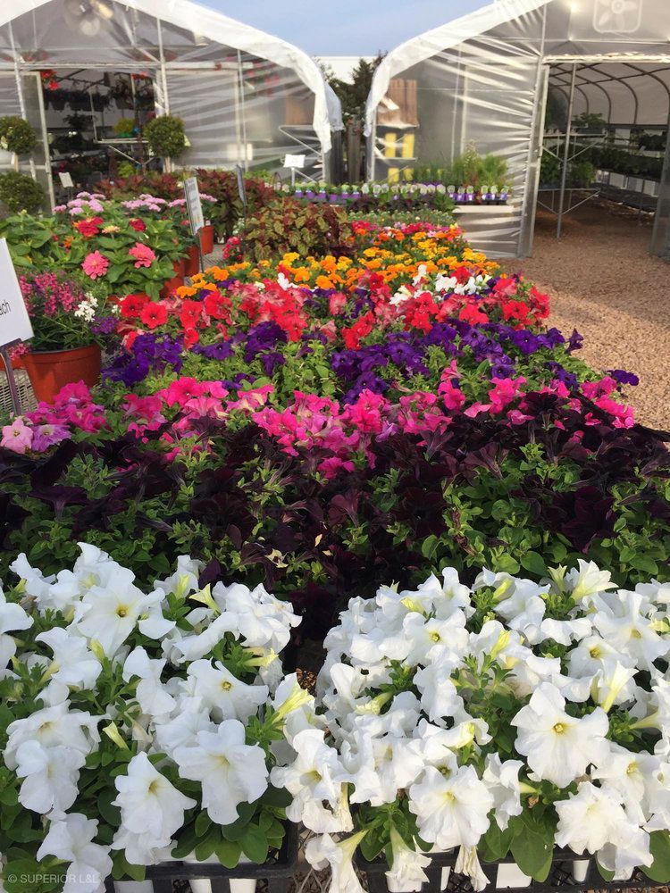 A greenhouse filled with lots of different types of flowers.