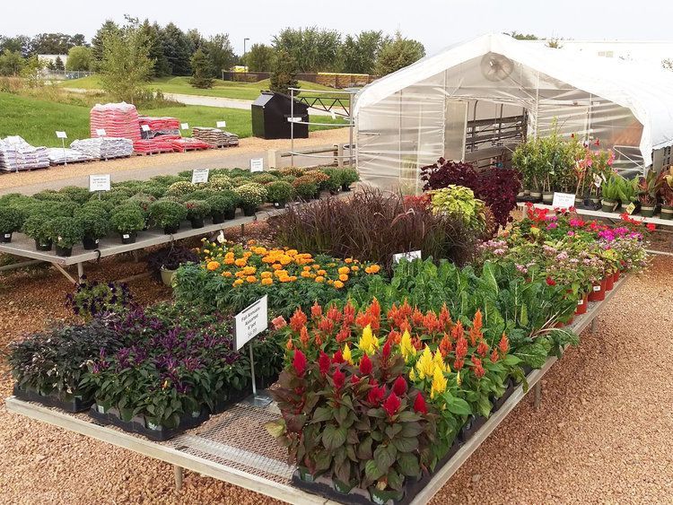 A greenhouse filled with lots of flowers and plants.