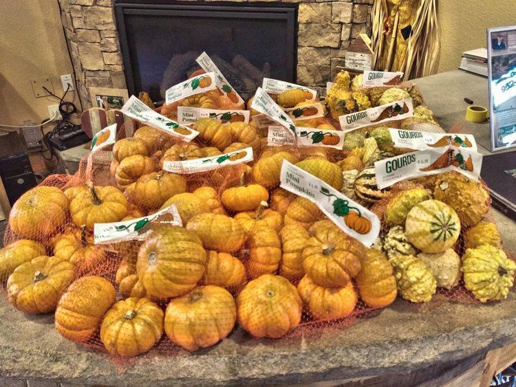 A bunch of pumpkins are sitting on a table in front of a fireplace.