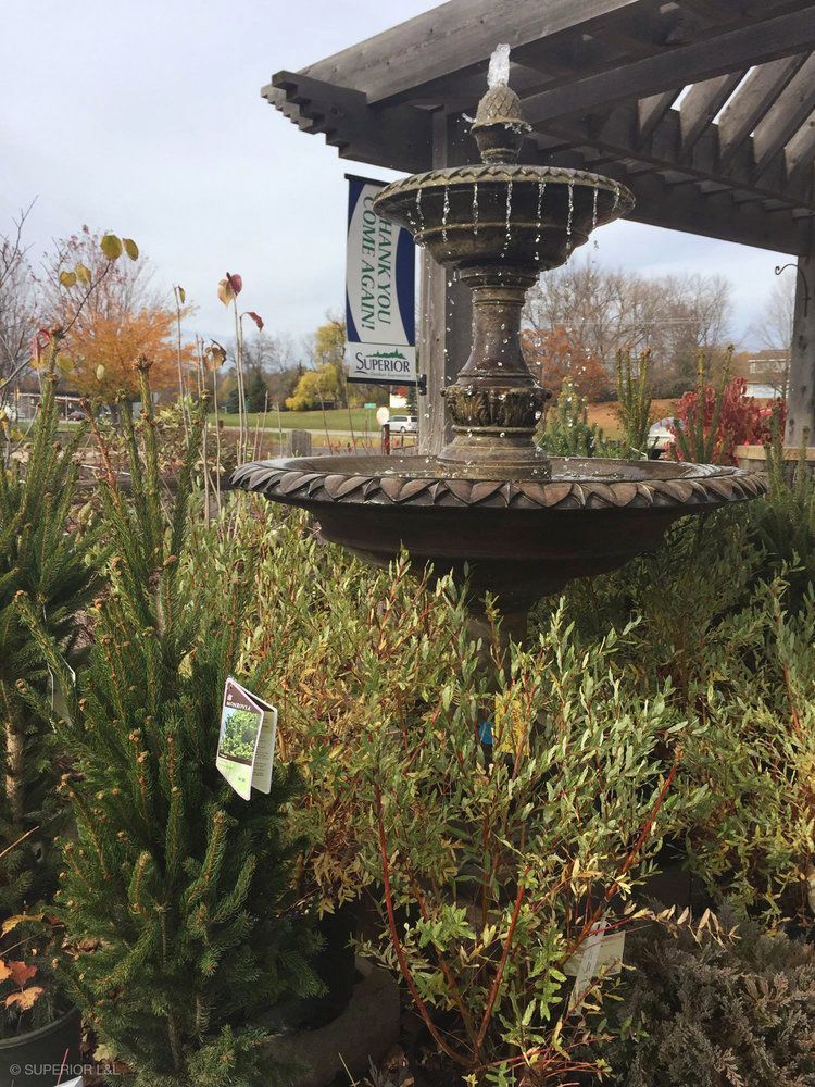 A fountain is surrounded by trees and plants in a garden.