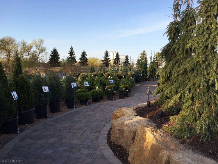 A brick walkway surrounded by trees and bushes in a garden