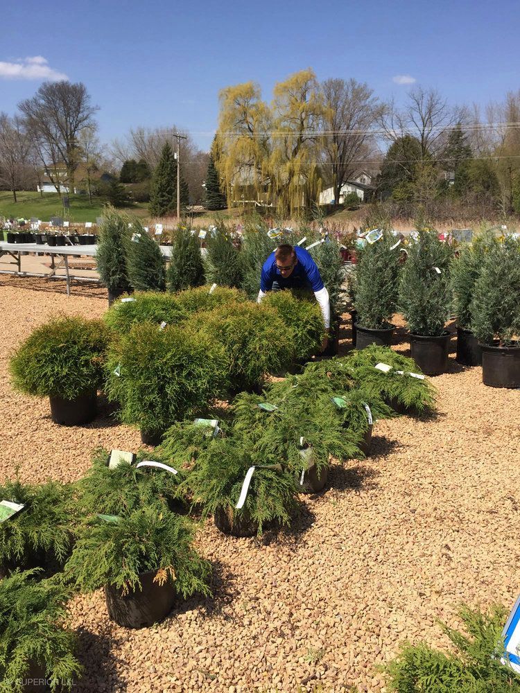 A man is standing in a field of potted plants.