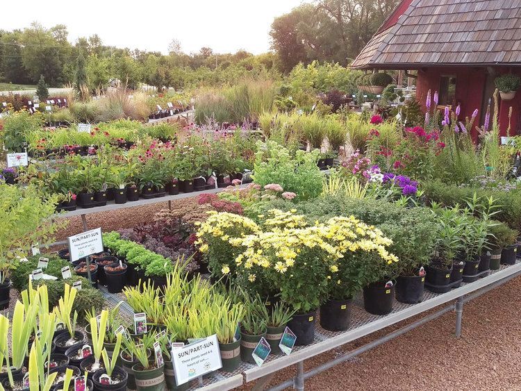 A bunch of potted plants are sitting on a table in a garden.