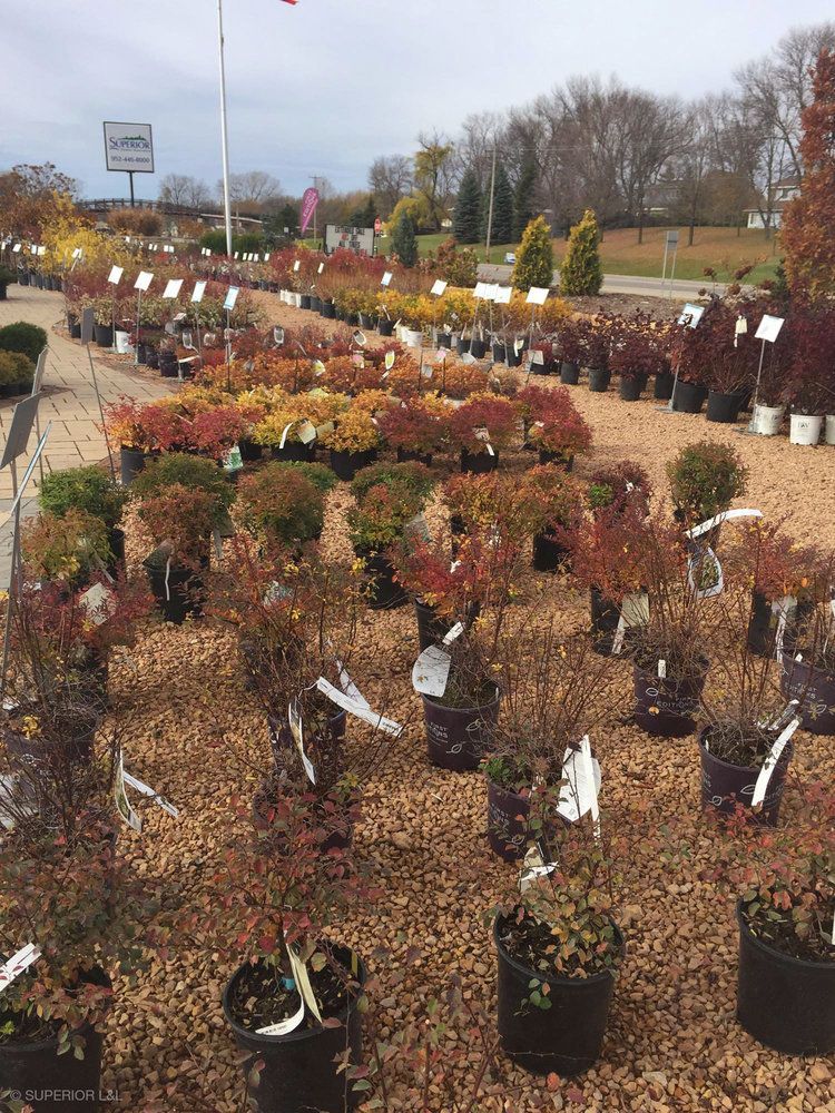 A garden center filled with lots of potted plants.