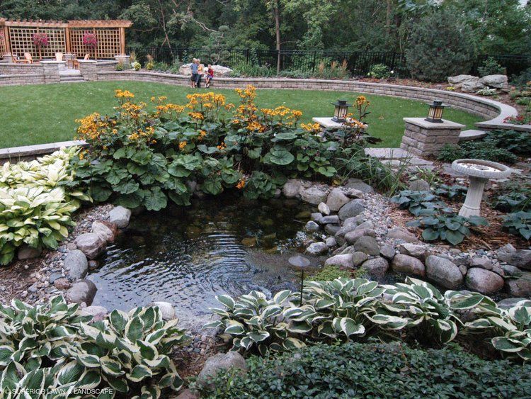 A pond surrounded by flowers and rocks in a garden