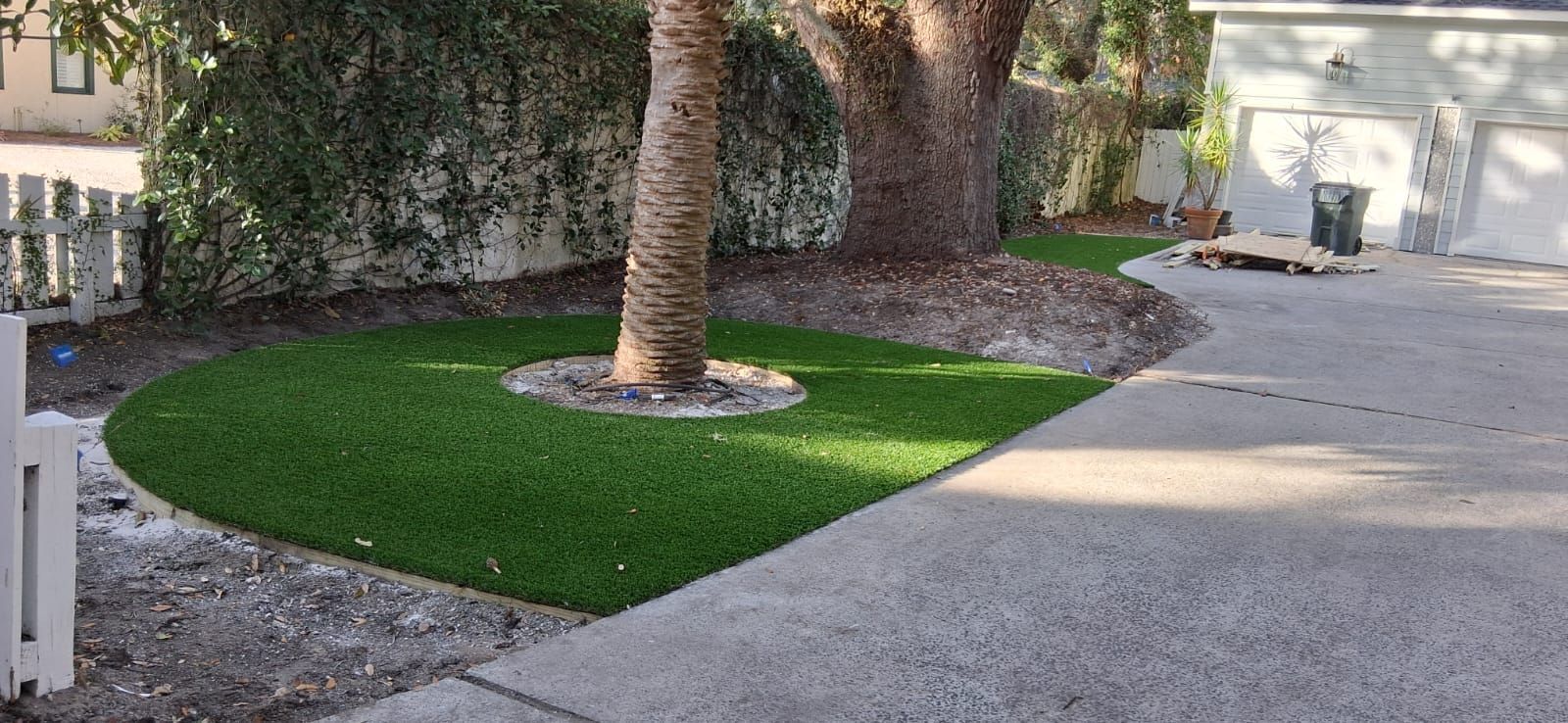 A tree is in the middle of a lush green yard next to a driveway.