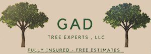 GAD tree experts logo