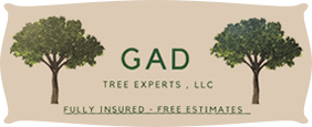 GAD tree experts logo