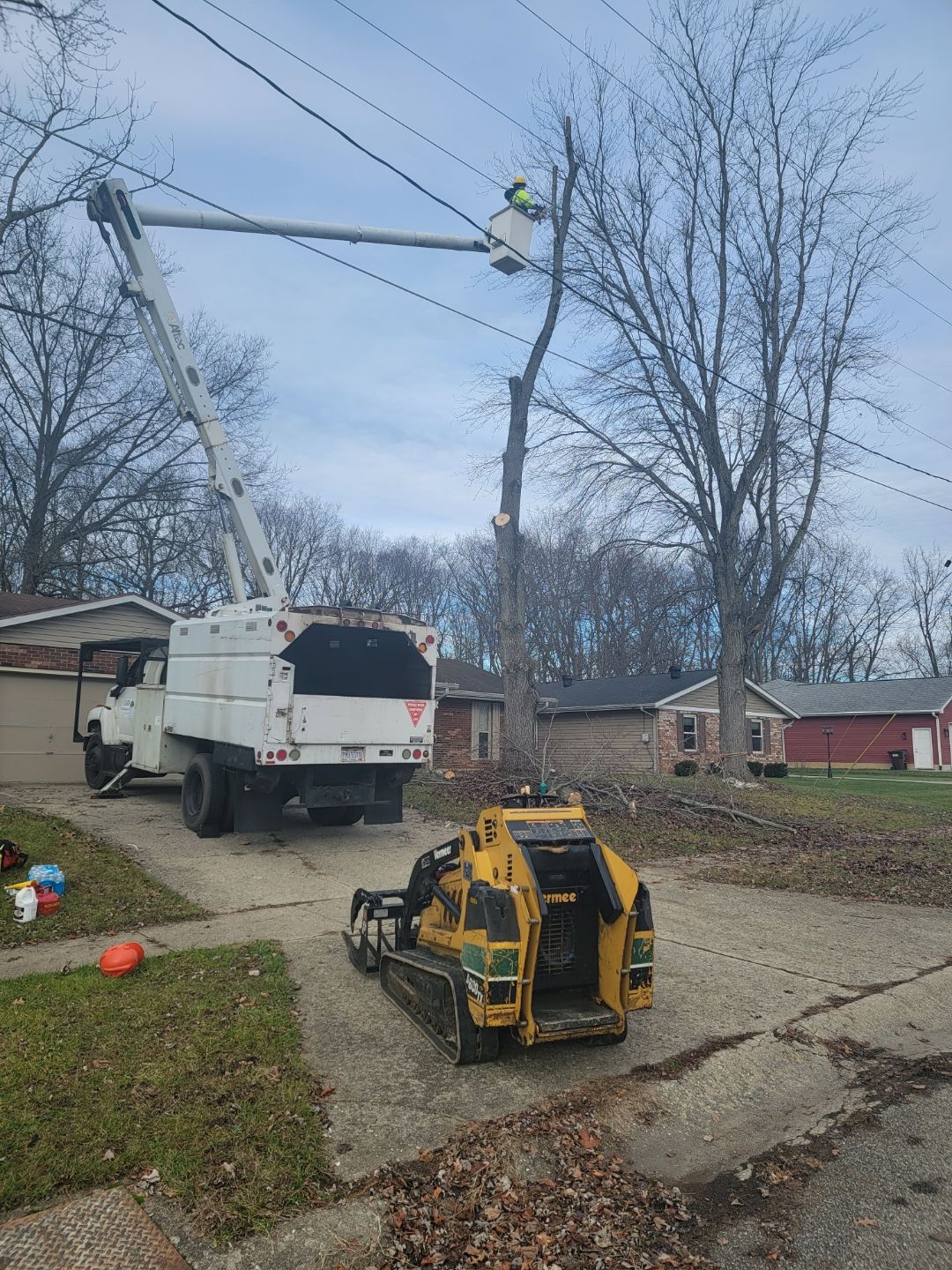 Tree care equipment used