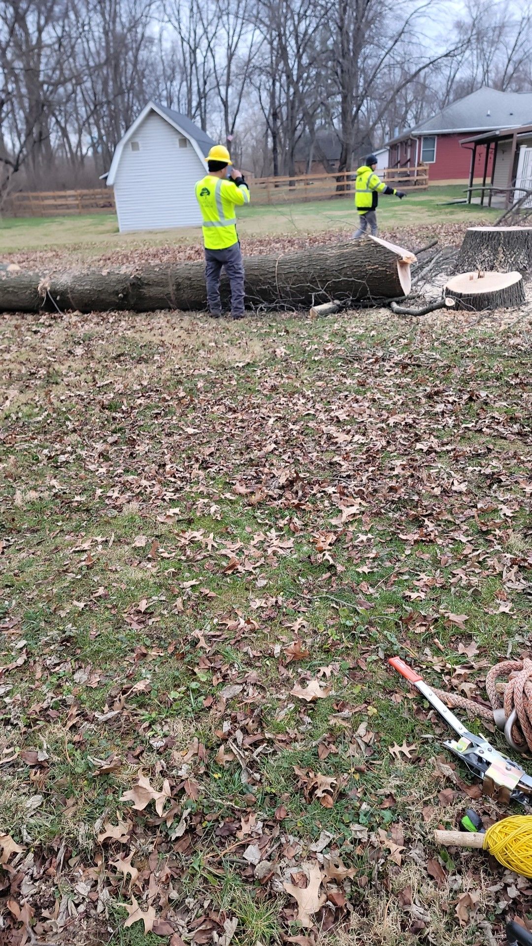Completed tree removal