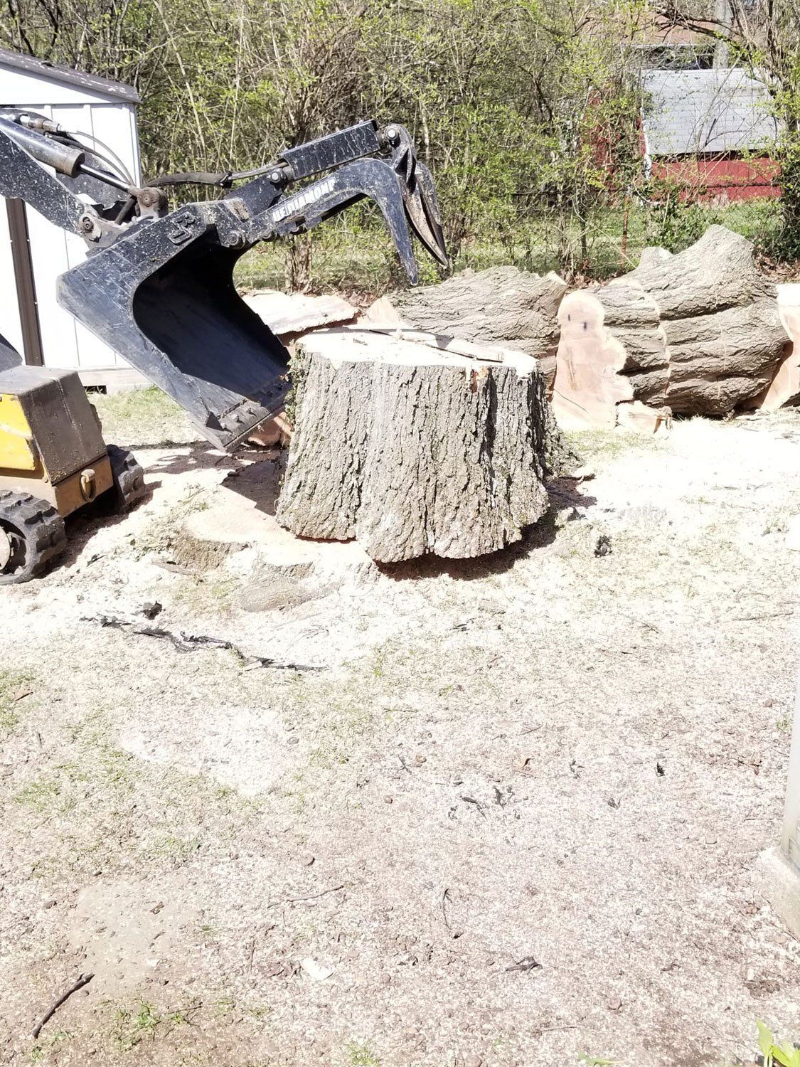 Stump Grinding