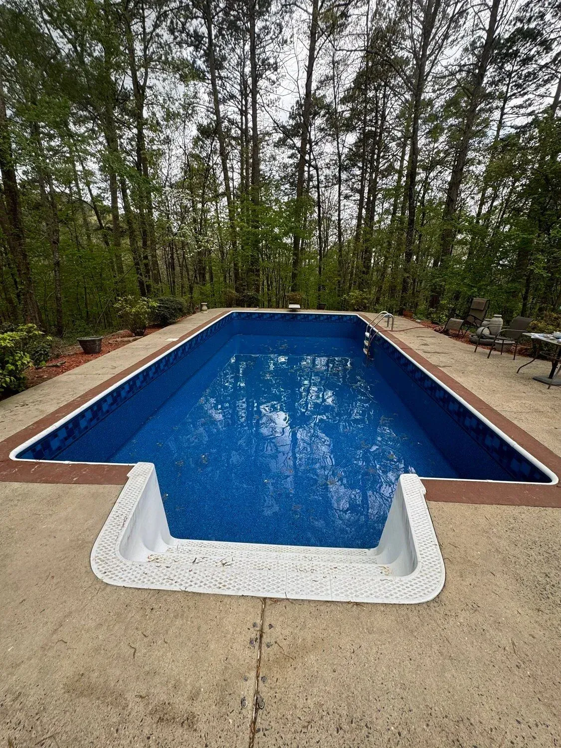 Rectangular in-ground pool with blue water and white steps, surrounded by concrete and trees in the background.