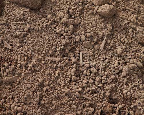 Shredded Screened Premium Top Soil