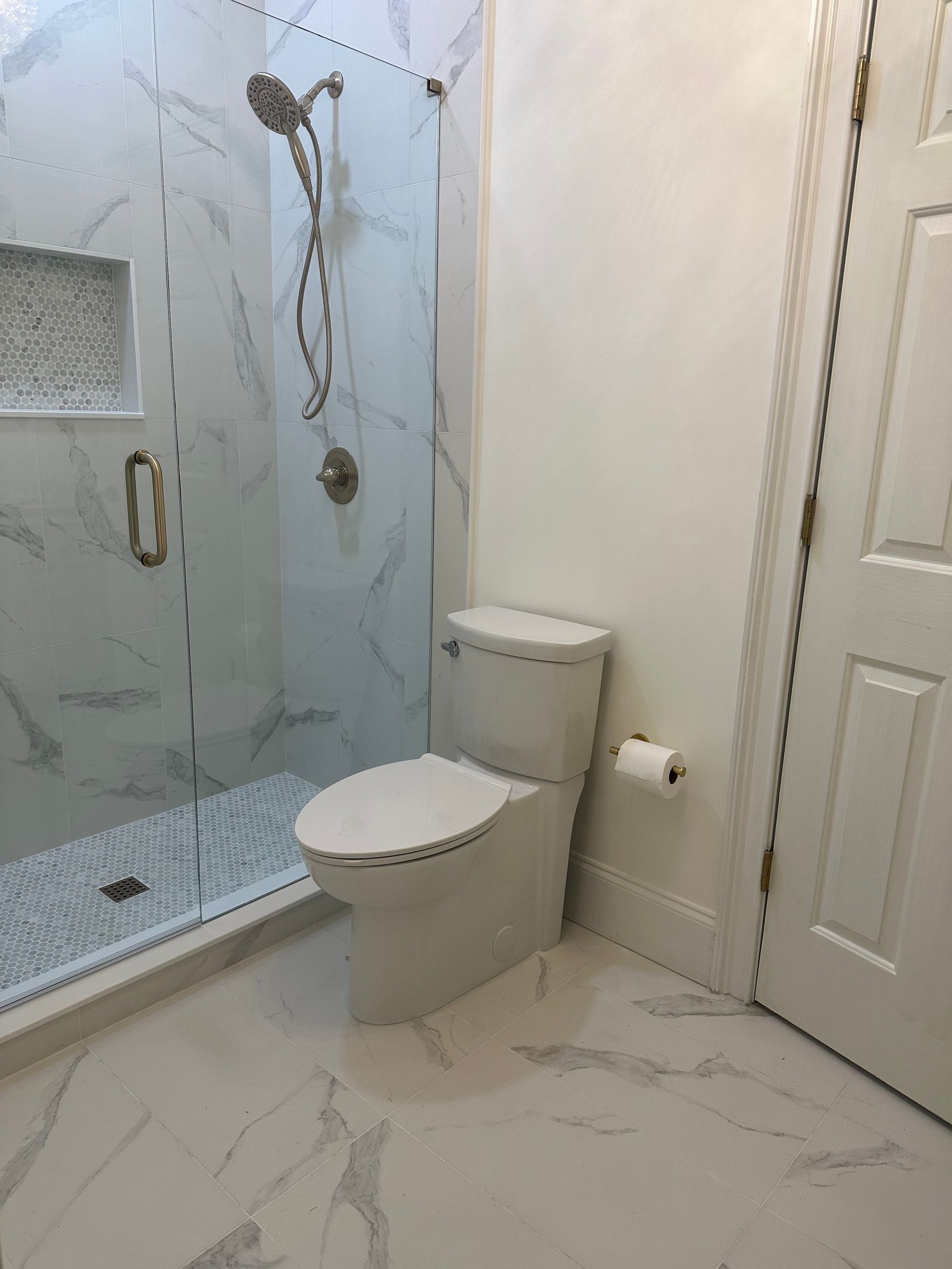 A bathroom with a toilet, shower, and door.