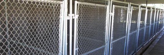 fairway boarding kennels