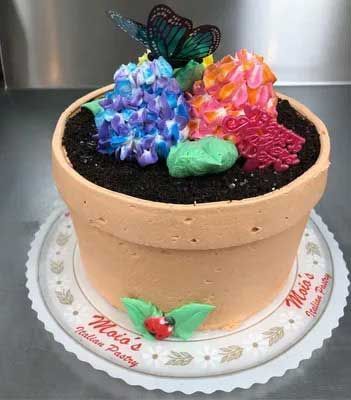 Cake decorated as a flower pot with buttercream flowers and a butterfly.