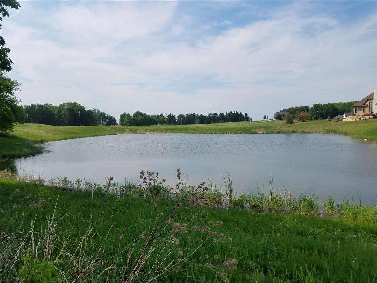 Lake view