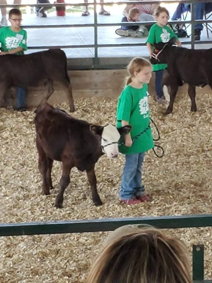 A girl in a green shirt is standing next to a calf