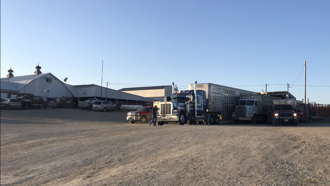 A lot of trucks are parked in a dirt lot in front of a building.