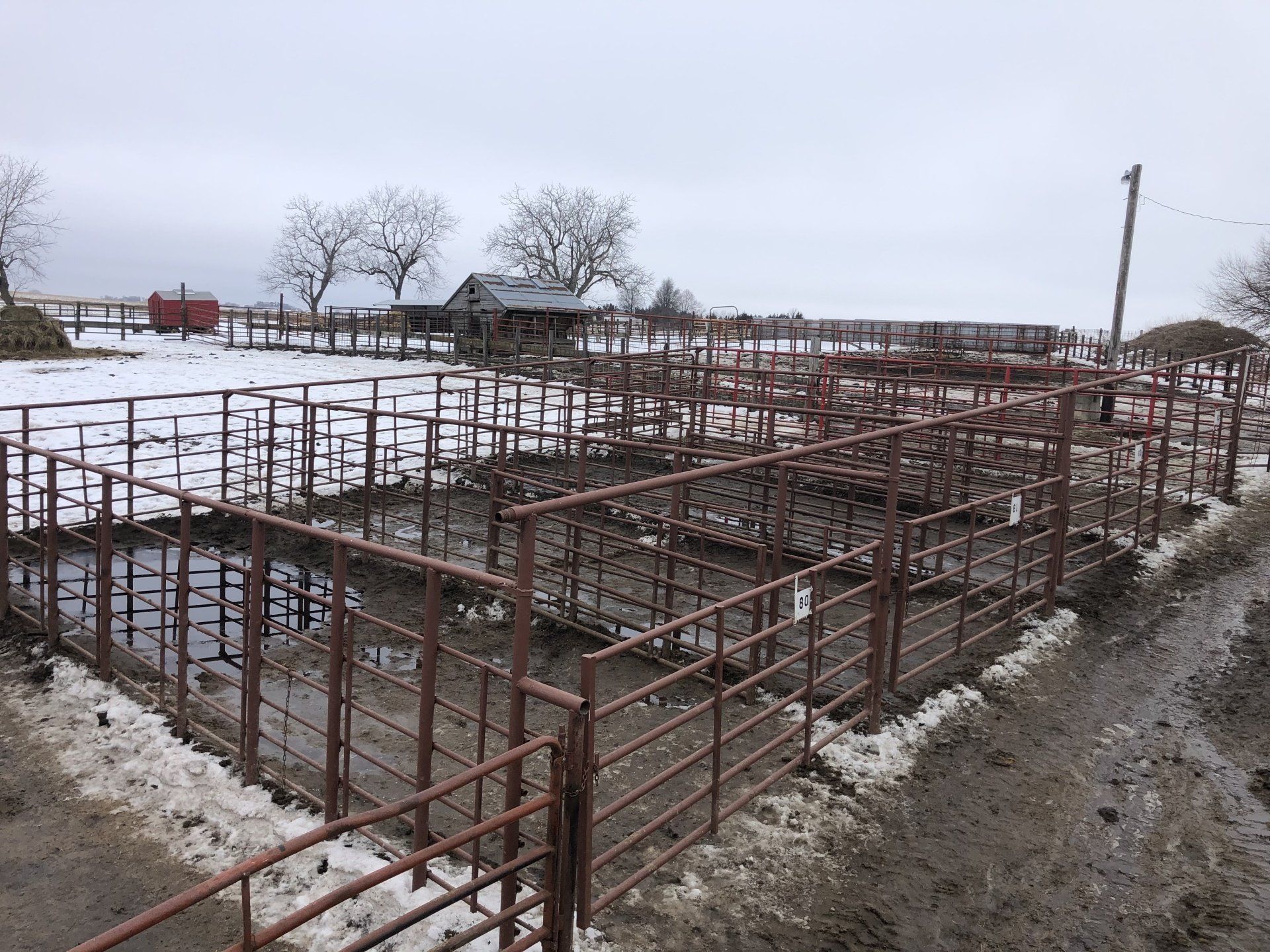 There is a lot of snow on the ground and a lot of fences.