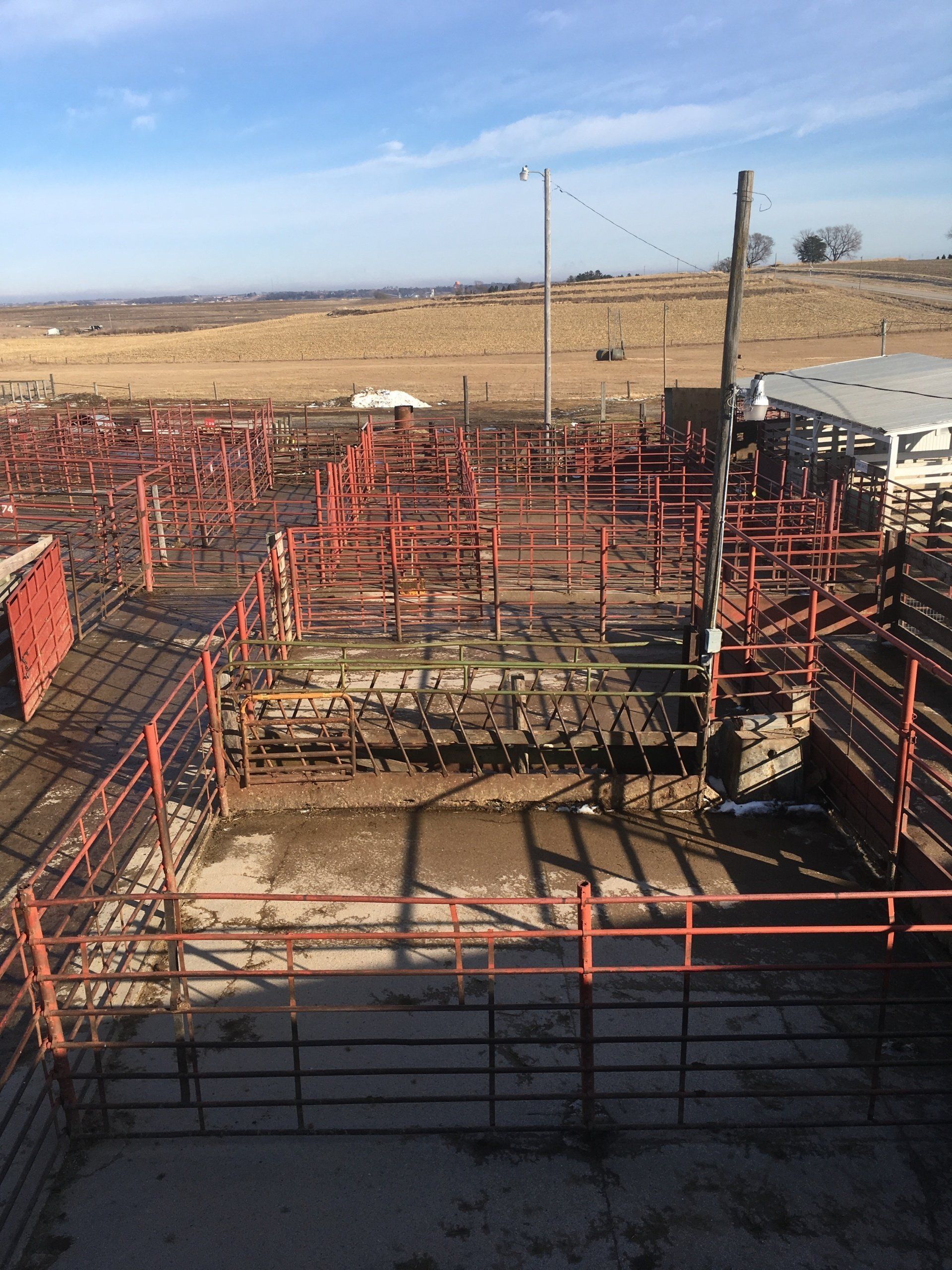 An aerial view of a rodeo arena with a lot of fences