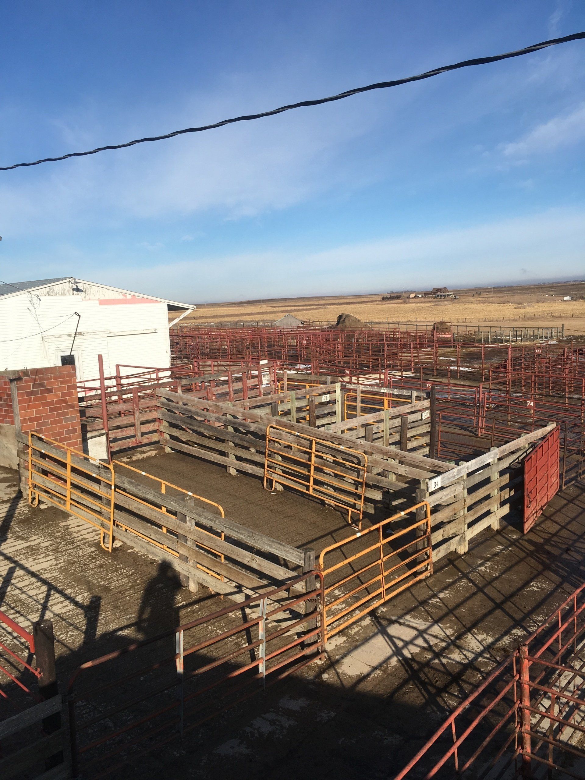 An aerial view of a rodeo arena with a barbed wire fence