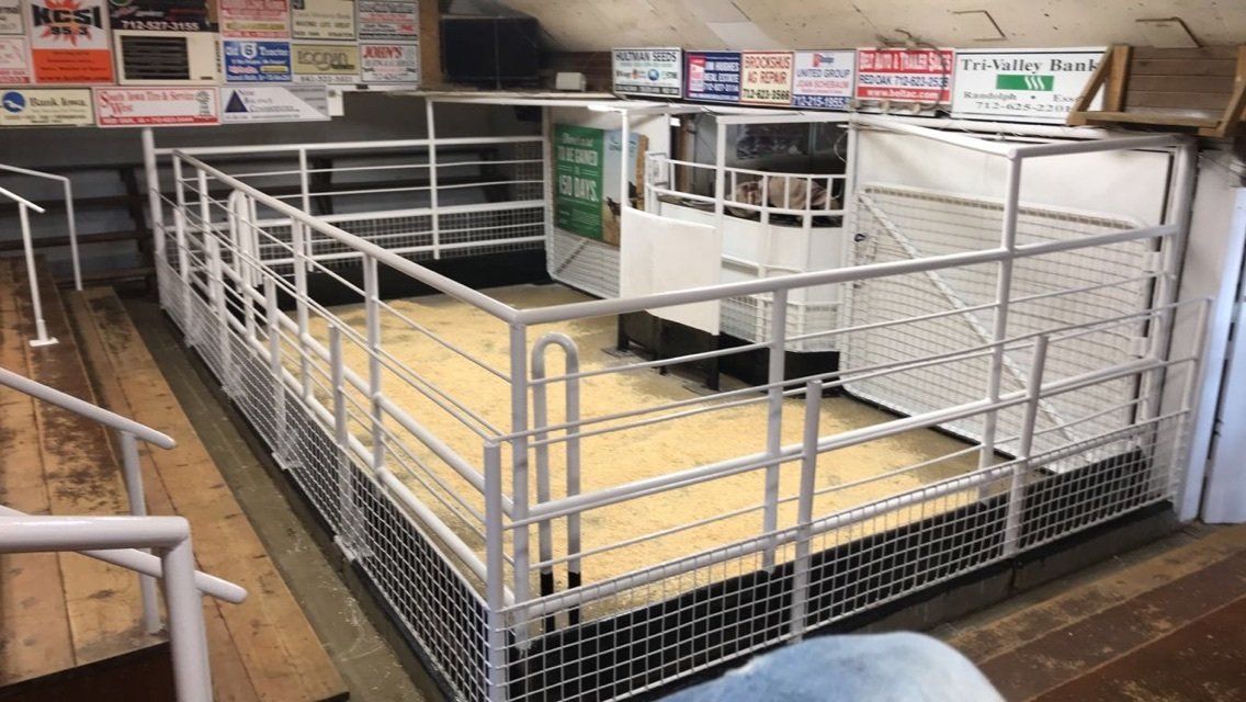 A fenced in area with a wooden floor and stairs in a building.