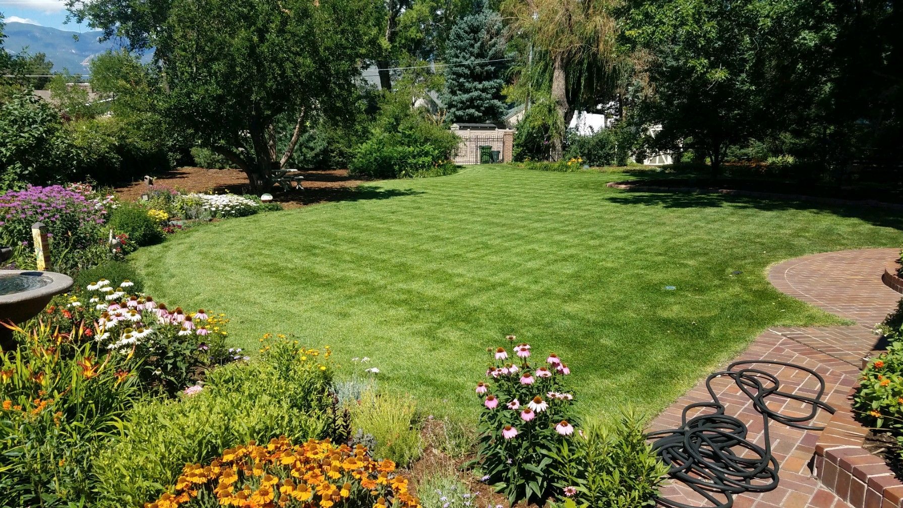 A lush green lawn surrounded by flowers and a brick walkway .