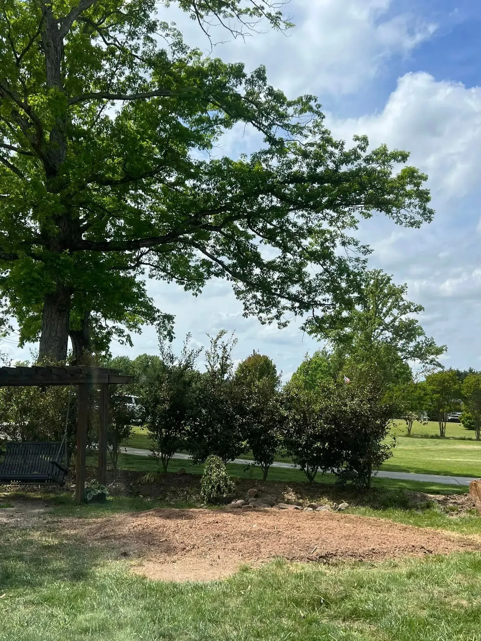 Green trees, shrubs, and a grassy area under a cloudy sky.