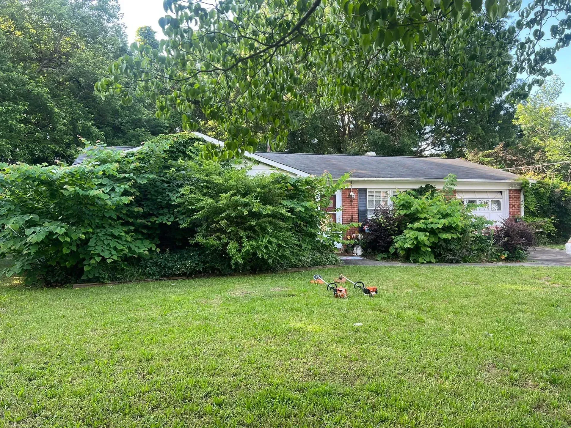 A small brick house partially obscured by overgrown green bushes and trees on a sunny day.