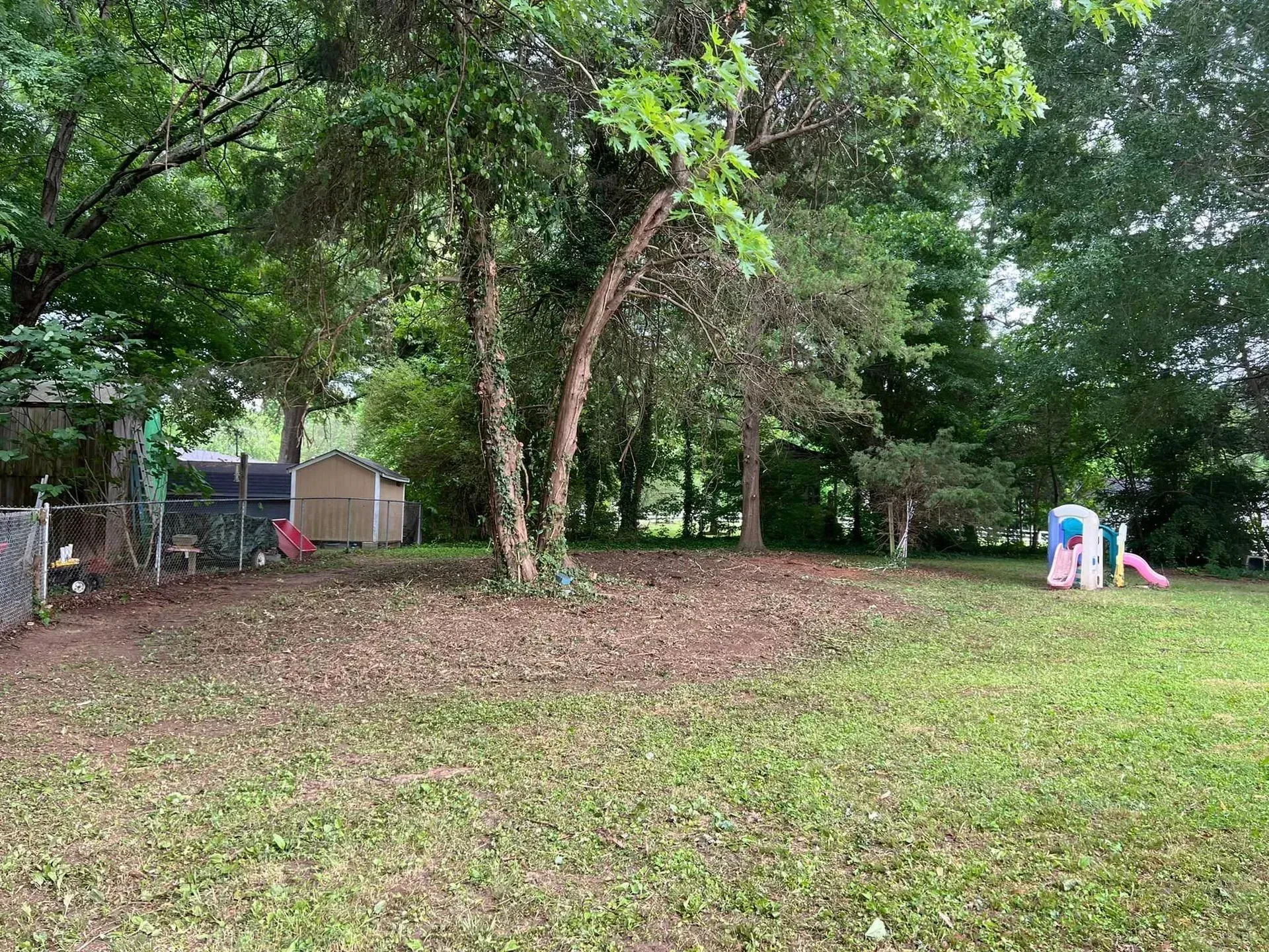 Backyard with trees, playhouse, shed, and green grass. Overcast sky.