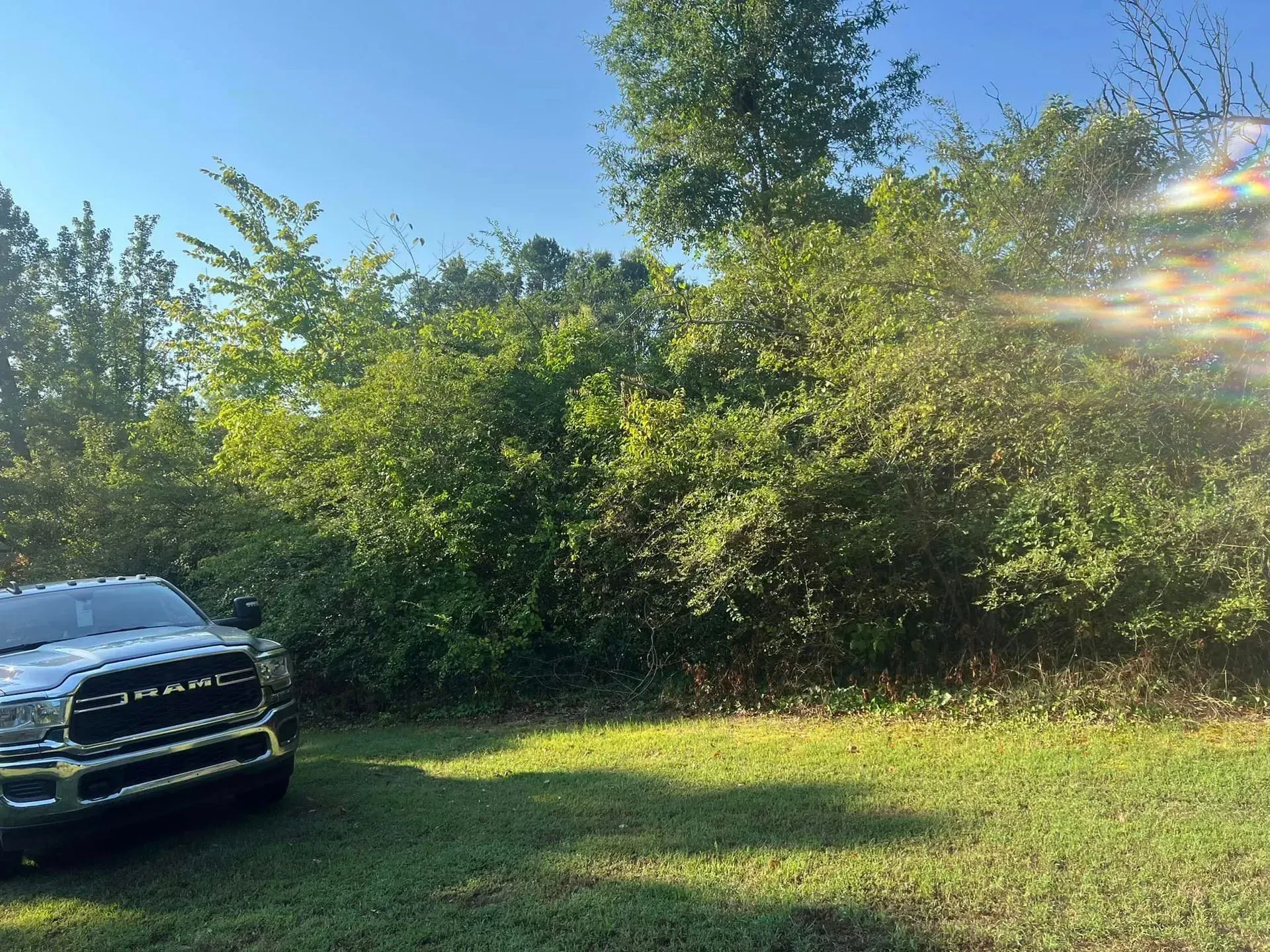 A truck parked on a grassy area next to a large bush in a sunny setting.