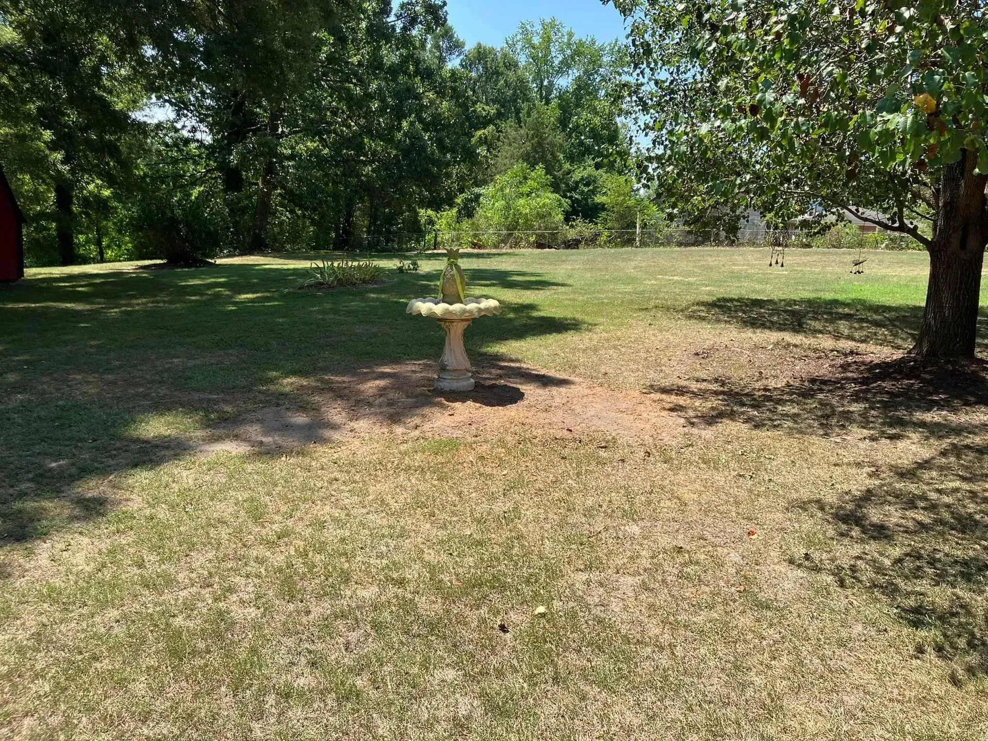 A grassy backyard with a birdbath, trees, and a blue sky.