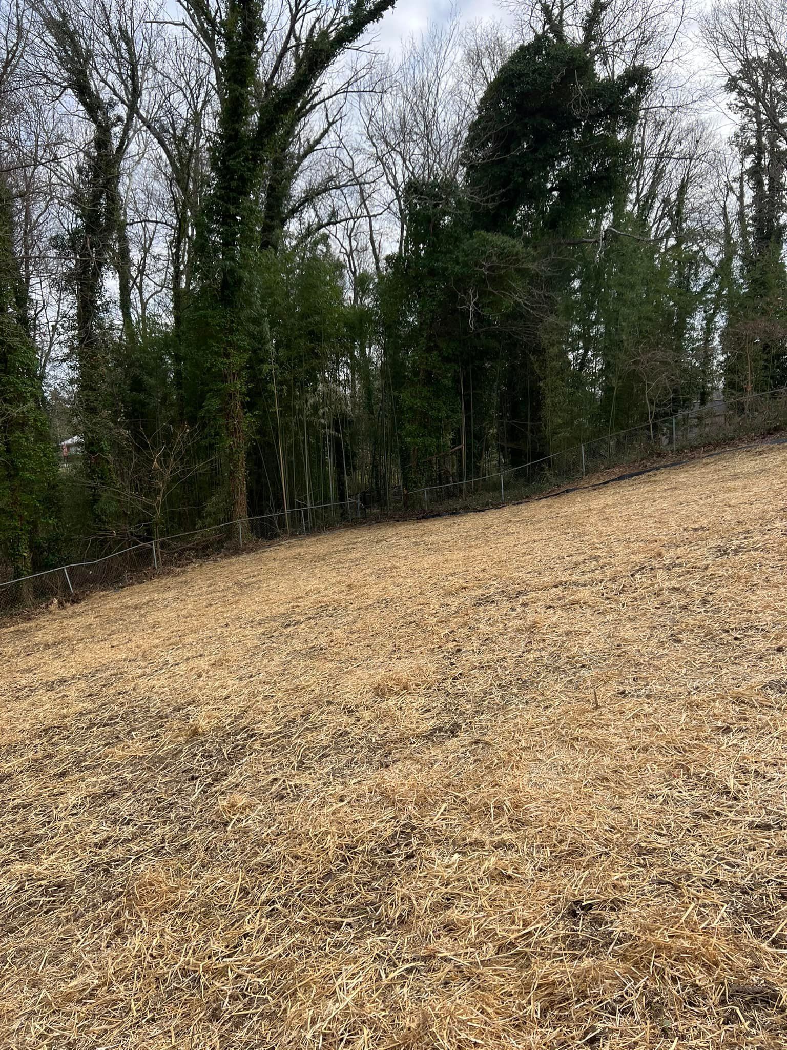 Gravel slope leading up to a line of trees and brush under a cloudy sky.