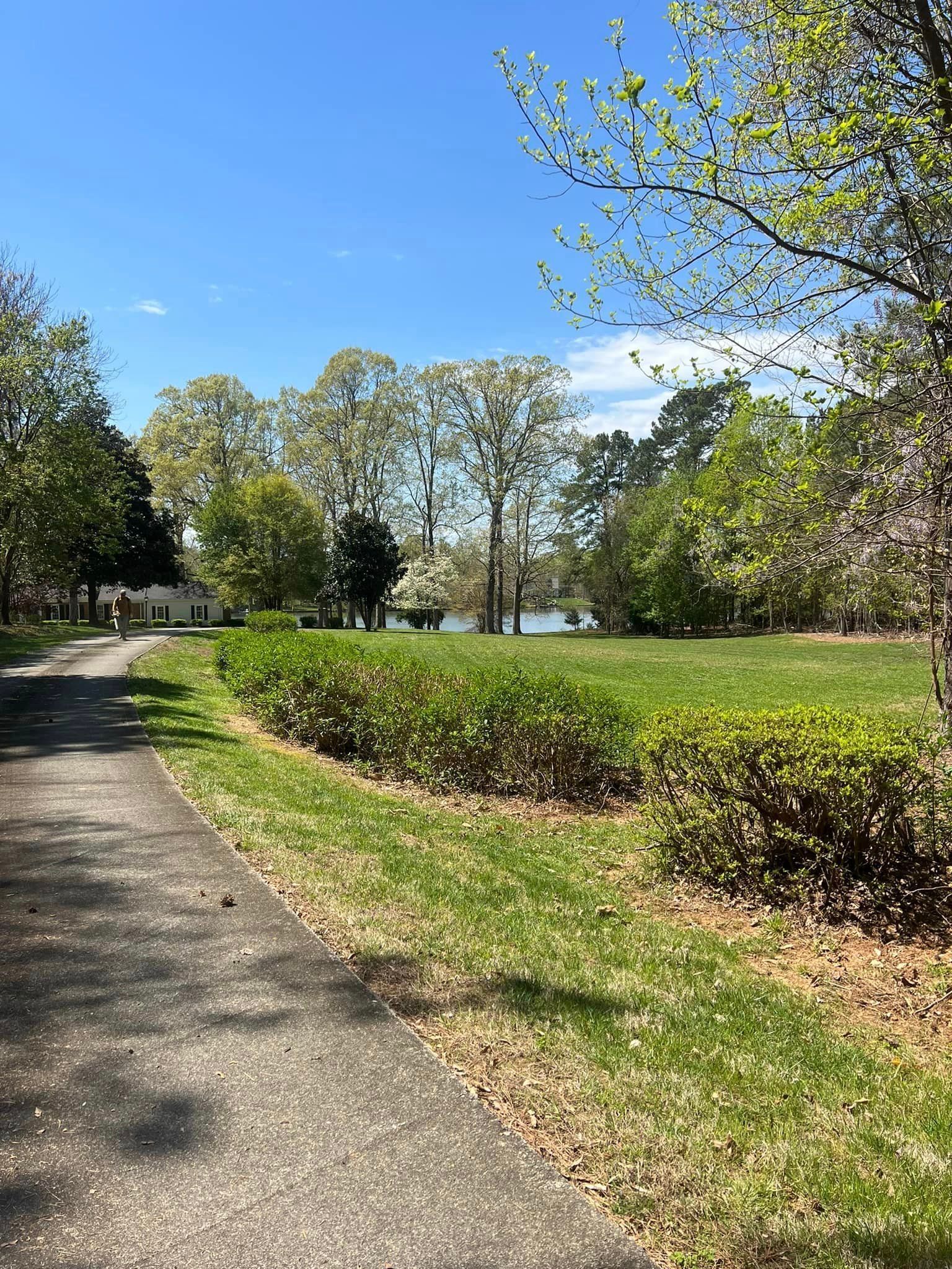 Paved path beside a grassy area with bushes. Trees frame the scene under a blue sky.