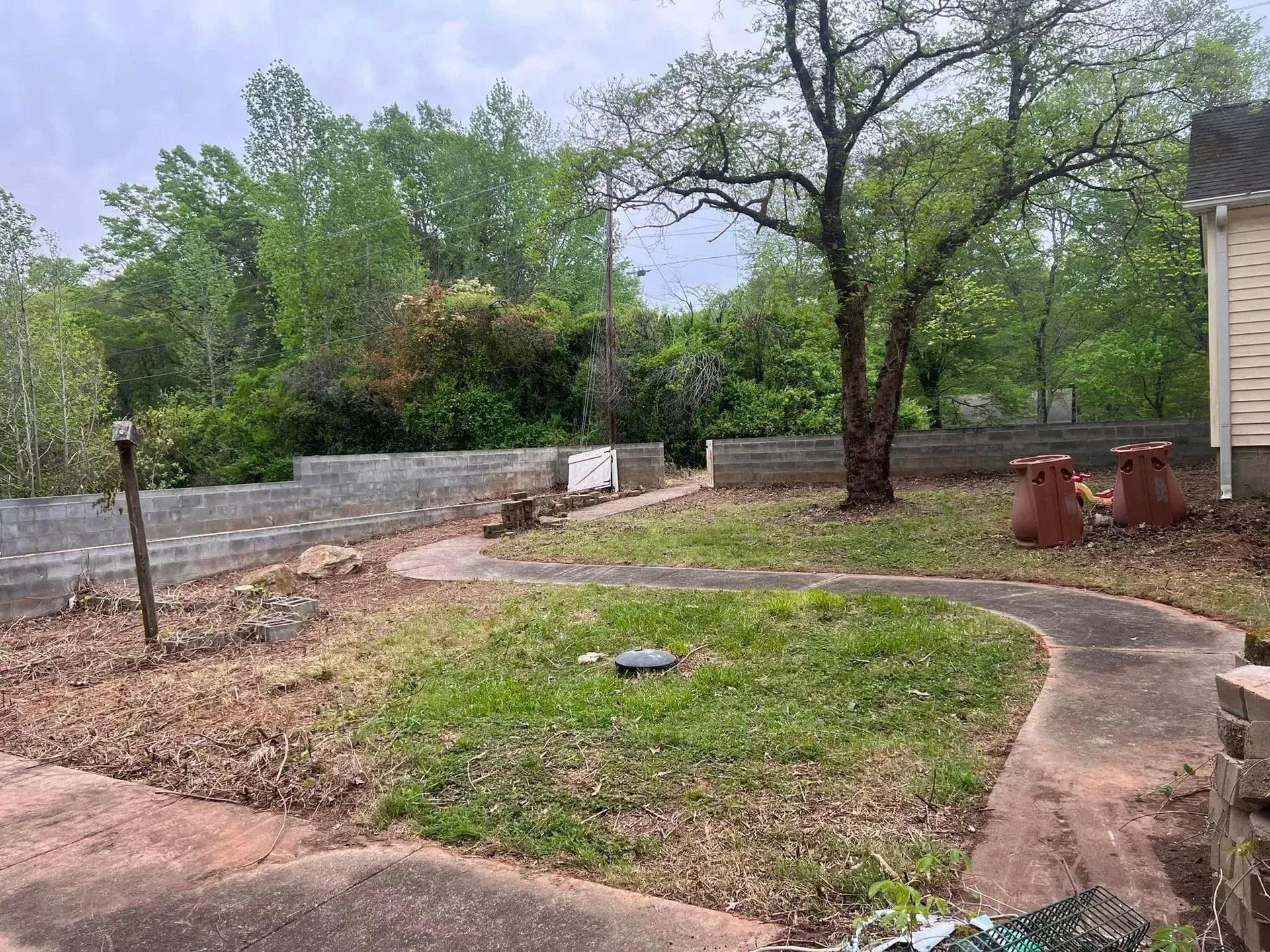 A yard with a concrete path, a tree, and a low concrete wall against a backdrop of green trees under an overcast sky.