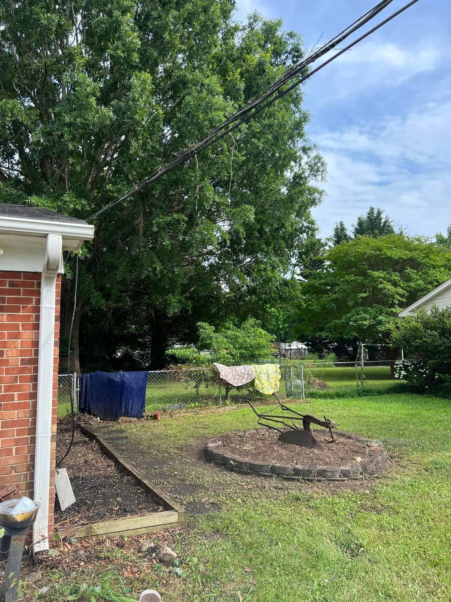 Backyard with trees, brick building, power lines, clothesline with clothes hanging, and a round brick feature.